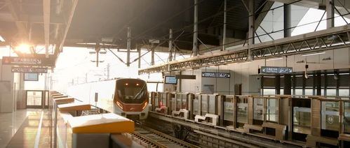 三龙湾南海片区两大重点工程吹响新年建设发展号角