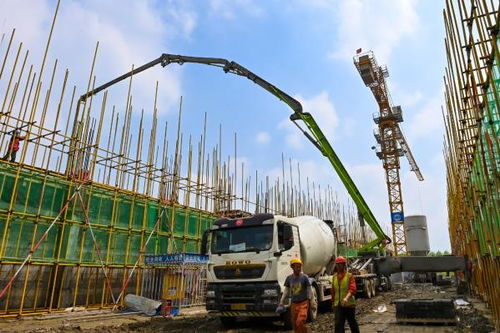 市粮油仓储物流园建设如火如荼 谱写粮食安全新篇章