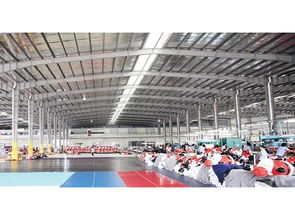 钢结构工程应用与东莞市振晟钢结构建设工程概览